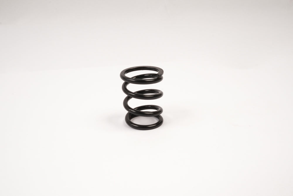 GT Servo Saver Spring