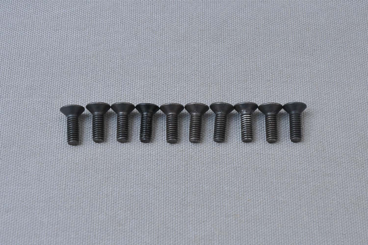CS Hex Screw M4x12 mm