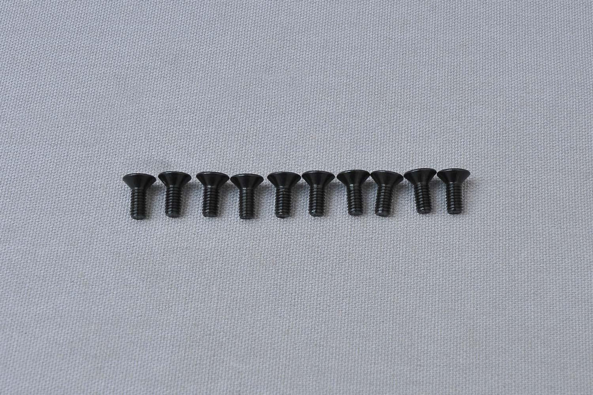 CS Hex Screw M4x10 mm
