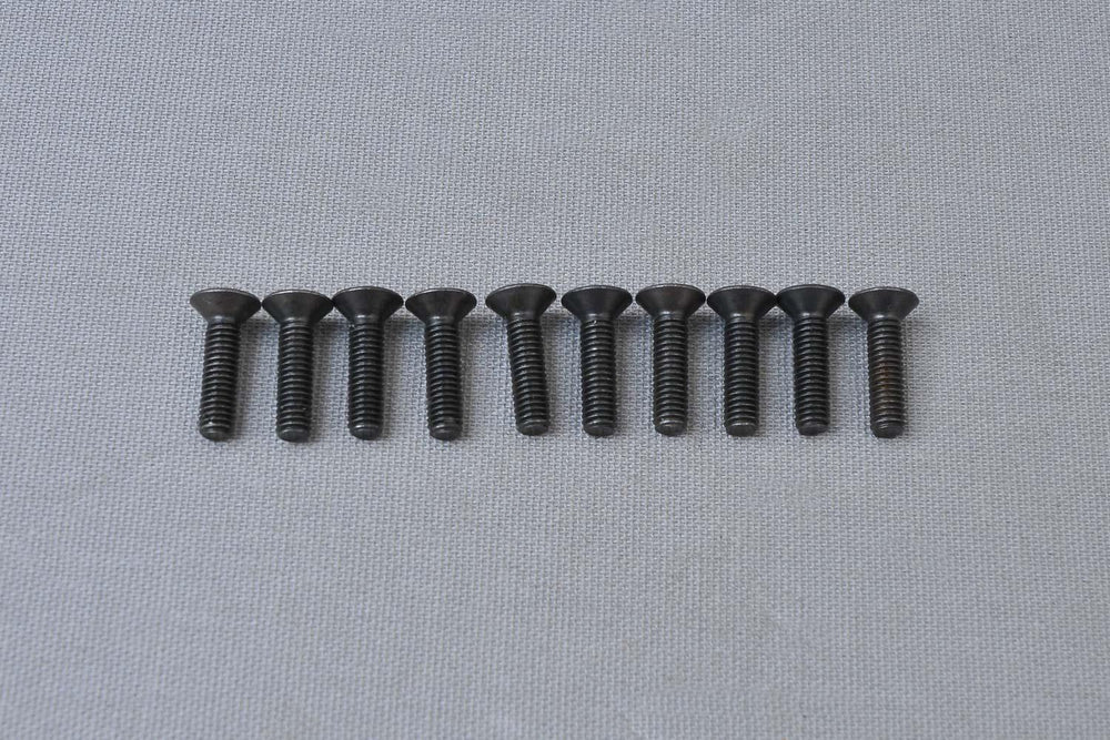 CS Hex Screw M4x16 mm