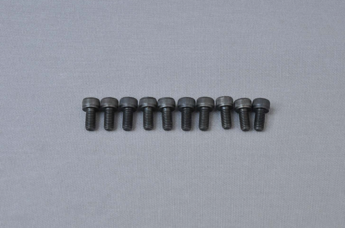 Cylinder head Allen screw M5x10 mm
