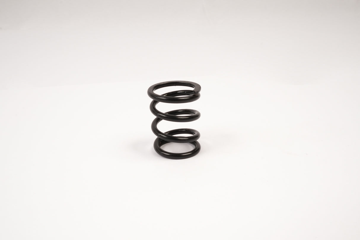 GT Servo Saver Spring