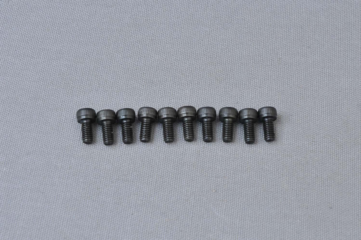 CH Hex Screw M4x8 mm