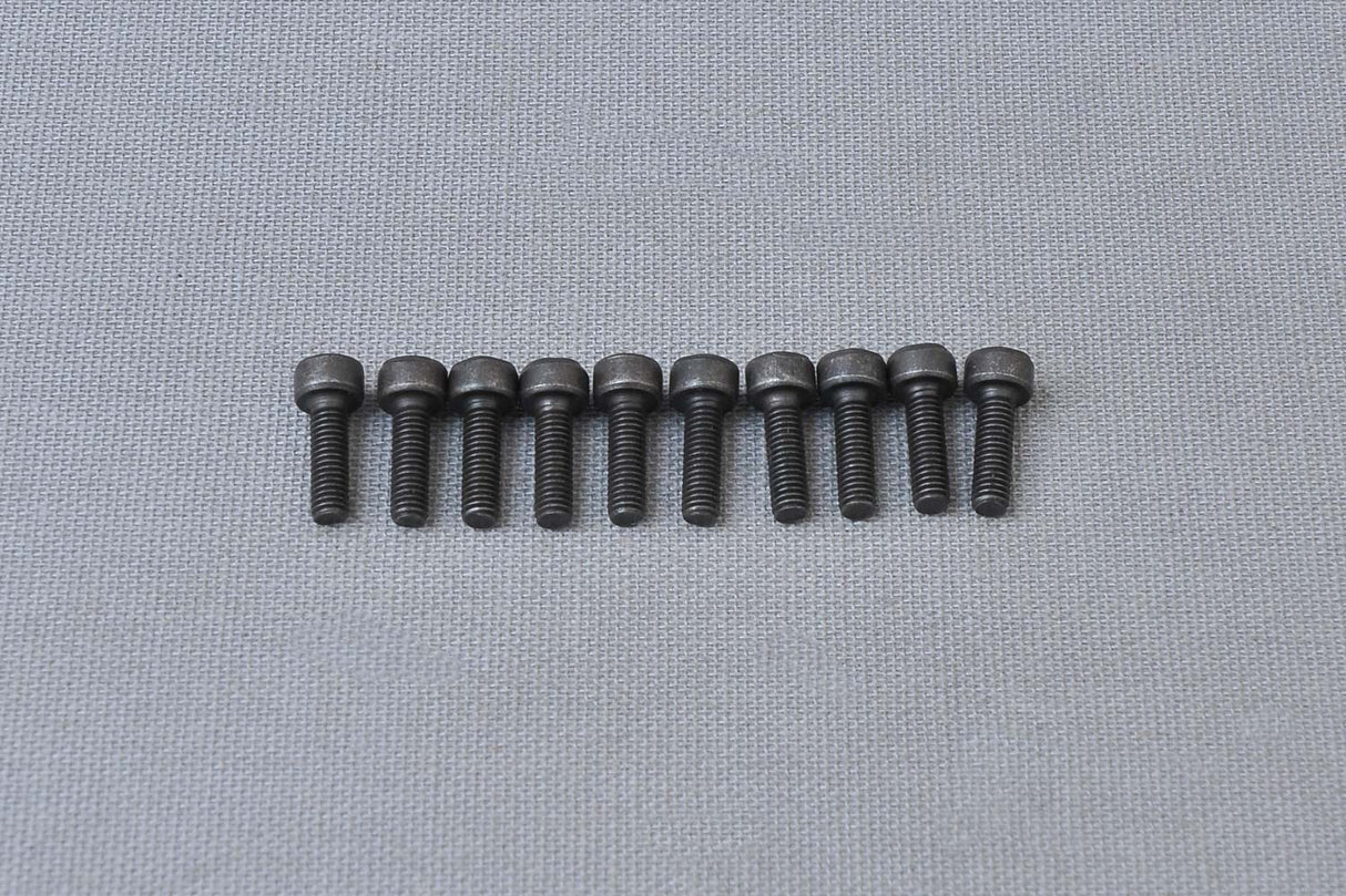CH Hex Screw M3x10 mm
