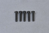 CS Hex Screw M3x16 mm