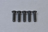 Countersunk Allen screw M6x25 mm