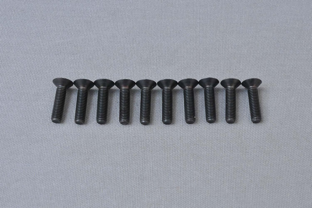 CS Hex Screw M5x20 mm