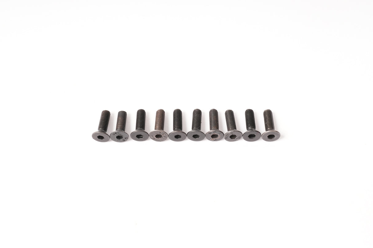 CS Hex Screw M3x10 mm